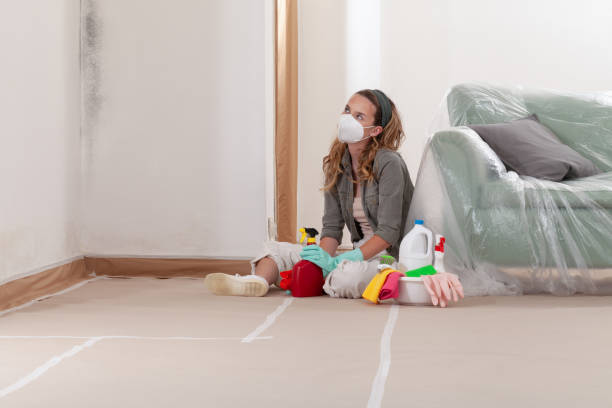 Reliable Commercial Mold Remediation contractor in Revere, MA by Car Mold Remediation